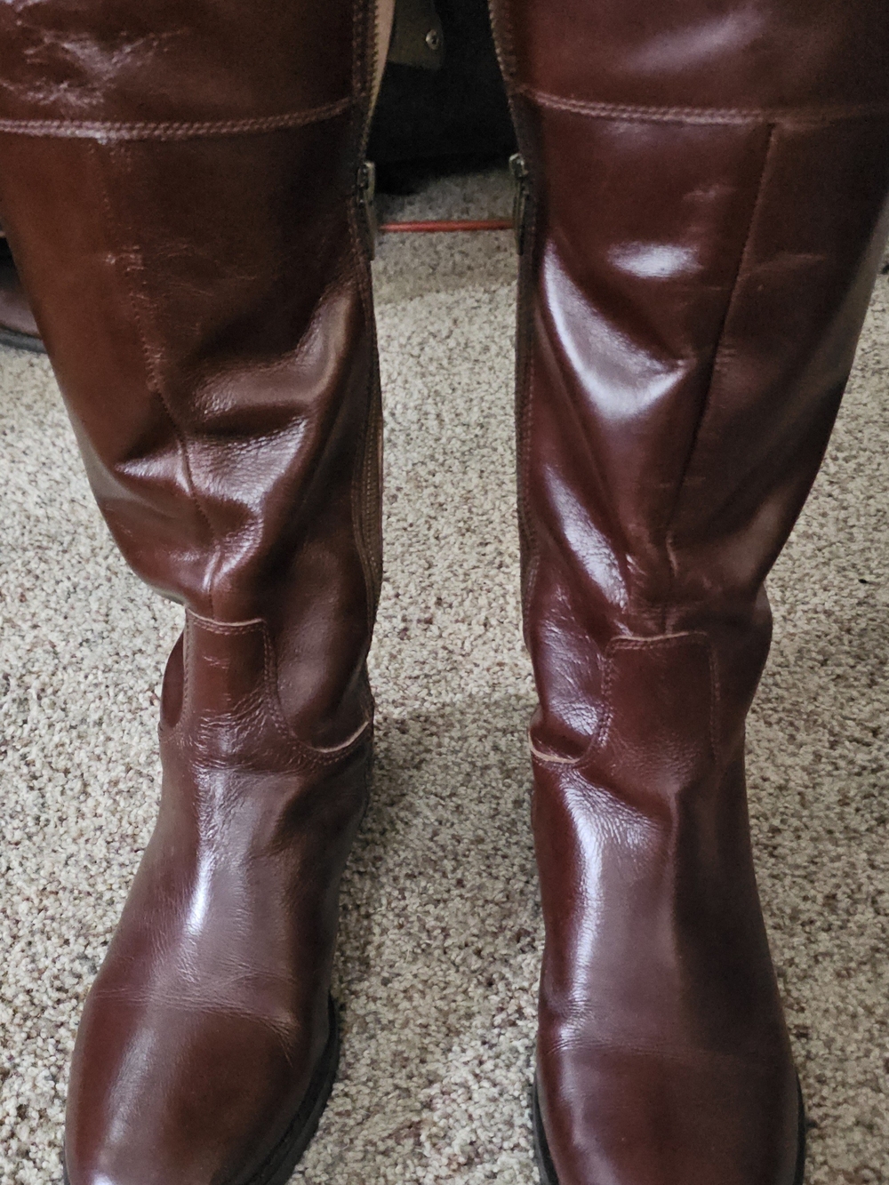 Enzo Angiolini Tall Brown Leather Boots